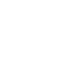 আয়োজন